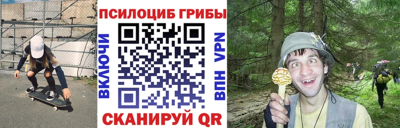 Галлюциногенные грибы Cubensis  Калач 